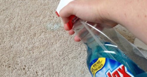 She Sprayed Her Carpet With Windex. The Result? I’m Trying