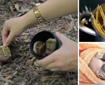 11 Amazing Ways to Use Old Teabags
