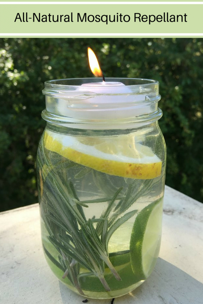 AllNatural Mosquito Repellent In A Mason Jar Will Keep Mosquitoes Away All Summer Long Useful