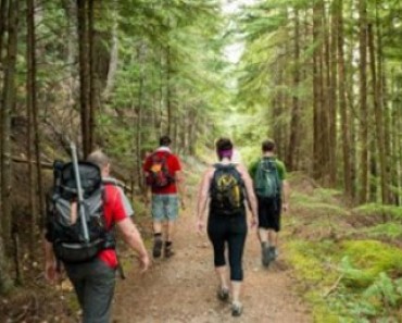 Doctors Explain Why Hiking Is Beneficial For The Brain