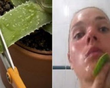 9 Things You Should Do with Aloe Vera before You Use It