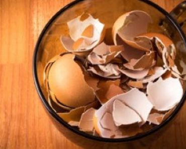 The Benefits of Eggshells and Why You Should Never Throw Them Away