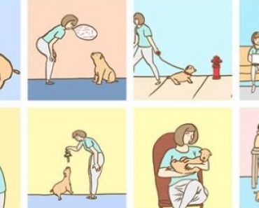 7 Human Habits That Really Annoy Your Dog