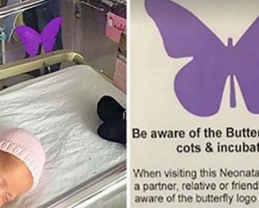 If You See A Purple Butterfly Sticker Near A Newborn, You Need To Know What It Means