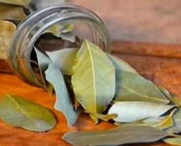 Burn A Bay Leaf At Home And Enjoy This Surprising Benefit