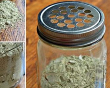 How to Make Homemade Flea Powder
