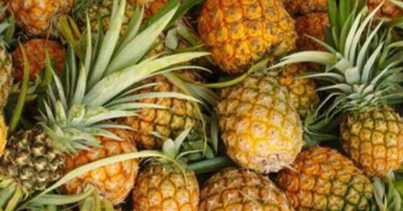 pineapple_580x304