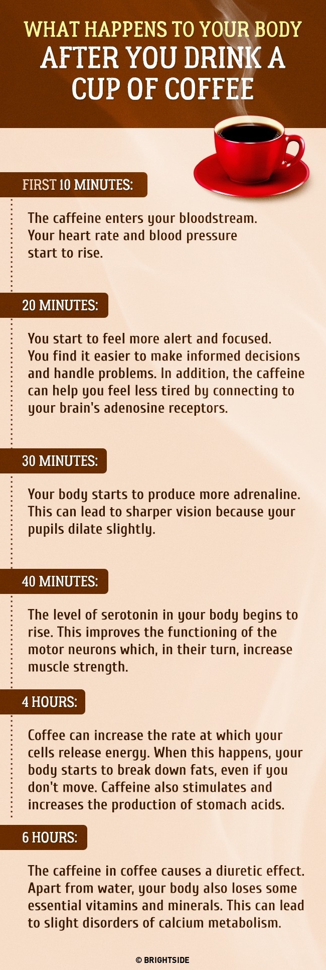 Research Shows What Happens After You Drink A Cup Of Coffee Useful