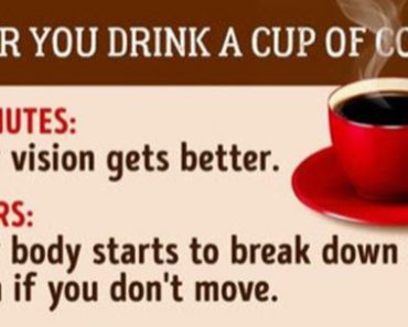 Research Shows What Happens After you Drink A Cup Of Coffee