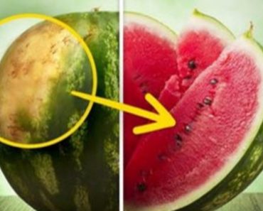 Tips from a Farmer: How to Pick the Perfect Watermelon
