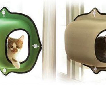 These Cat Window Nests Are The Perfect Gifts For Cat Lovers