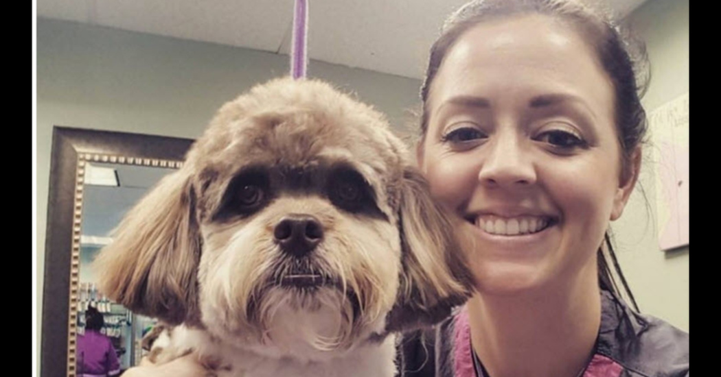 10 Dog Grooming Tips That Will Help Both You And Your Pooch Useful