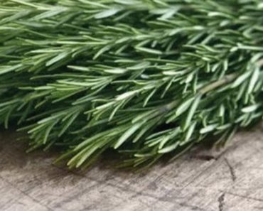 Scientists Have Discovered Rosemary Fights Dementia, Increases Memory And More