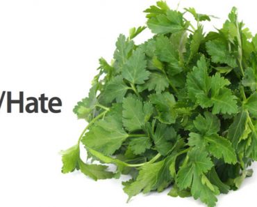 Do You Know Someone Who Hates Cilantro? Here’s Why…