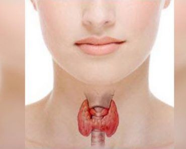 Reset Your Thyroid And Reactivate Your Metabolism – Great Way To Burn Fat Naturally