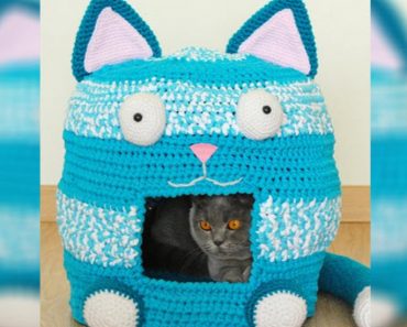 8 Crocheted Homes That Are Just Right For Your Pet
