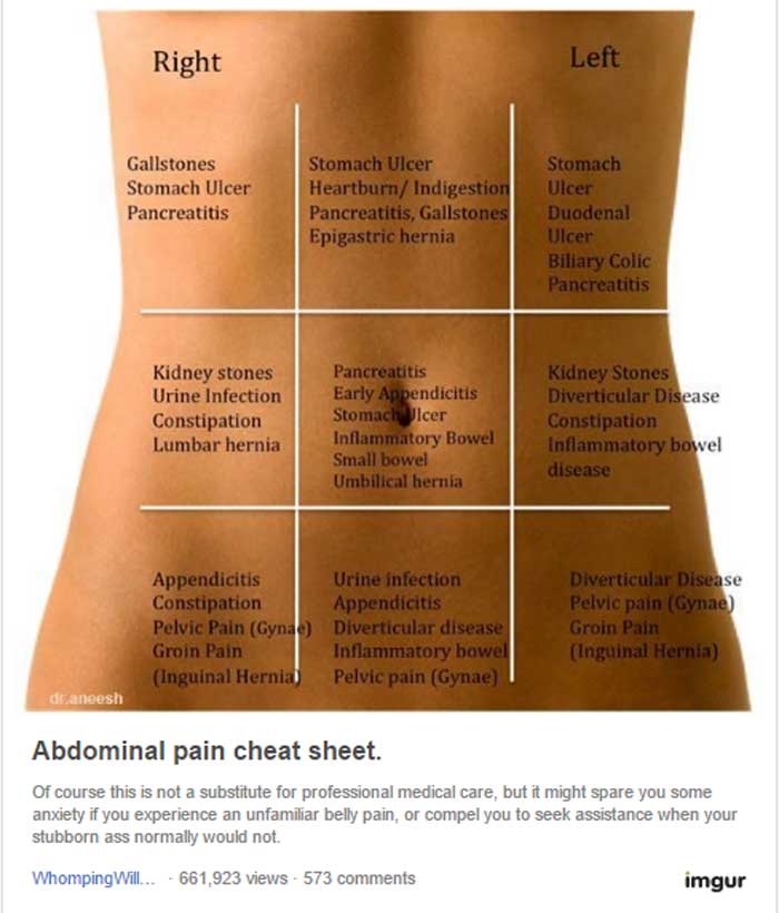 Use This Belly Map To Discover Why Your Stomach Hurts – Useful Tips For ...