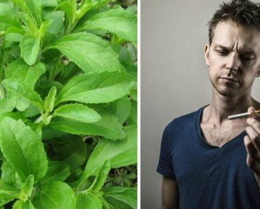 1 Herb You Can Grow In Your Backyard And It Will Obliterate Your Desire For Cigarettes