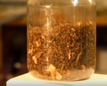 I Learned This Shocking Method For Killing Mosquitoes And I Haven’t Had A Single Bite Since