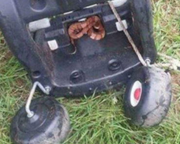 Texas Man Finds Something Terrifying Under A Child’s Toy. Now He’s Warning Parents