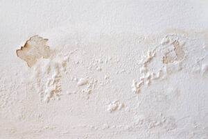 The Free And Easy Way To Fix Moldy Or Peeling Walls