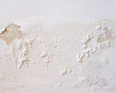 The Free And Easy Way To Fix Moldy Or Peeling Walls